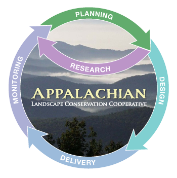 Planning Slide 2