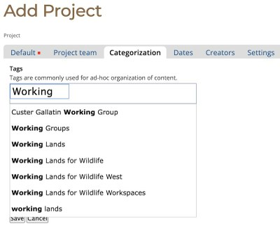 Categorization Tab