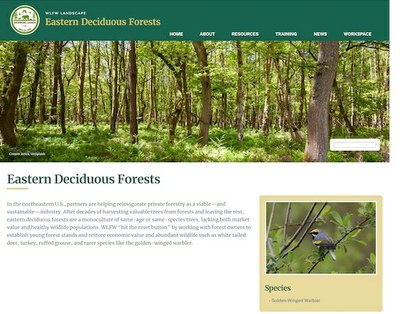 Eastern Deciduous Forests