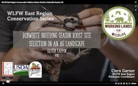 WLFW East Region Conservation Webinar Series: Northern Bobwhite Session #8 “Bobwhite Breeding Season Roost Site Selection in an Ag Landscape”