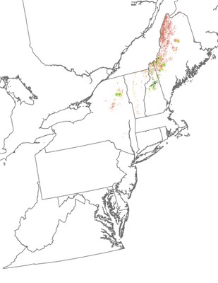 Landscape Capability for Blackpoll Warbler, Version 2.0, Northeast 