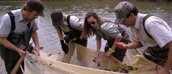 Landscape Partnership Landscape Partnership