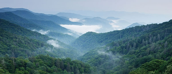 Landscape Partnership Landscape Partnership