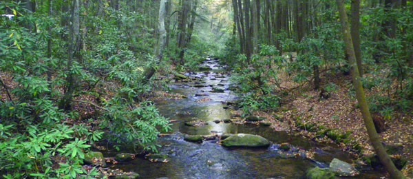 Landscape Partnership Landscape Partnership