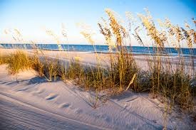Atlantic and Gulf Coast Resiliency Project