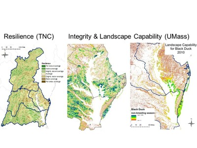 Designing Sustainable Coastal Landscapes in the Face of Sea-level Rise and Storms
