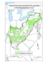 Distribution map of counties with a cave/mine occurrence for big brown bat (Eptesicus fuscus) within the Appalachian LCC region. 